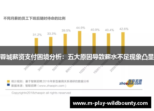 蓉城薪资支付困境分析：五大原因导致薪水不足现象凸显