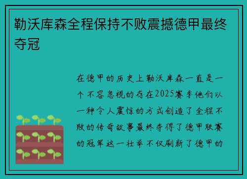 勒沃库森全程保持不败震撼德甲最终夺冠 勒沃库森全程保持不败震撼德甲最终夺冠